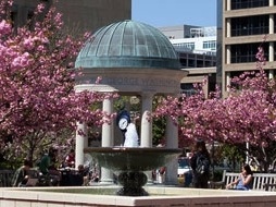 GWU
